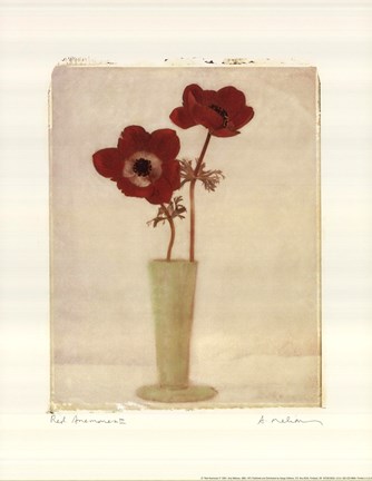Framed Red Anemones II Print