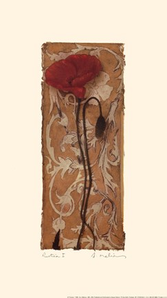 Framed Rustica I Print