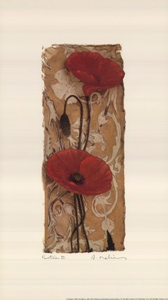 Framed Rustica II Print