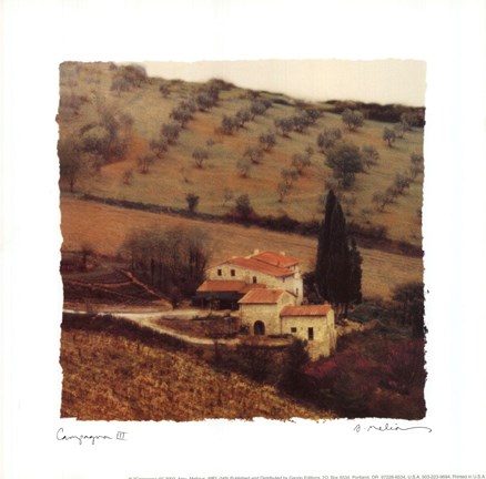 Framed Campagna III Print