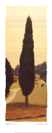 Framed Cypress I Print
