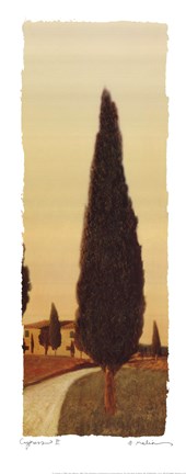 Framed Cypress II Print