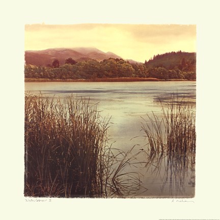 Framed Water Colors II Print