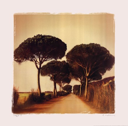 Framed Viaggio I Print