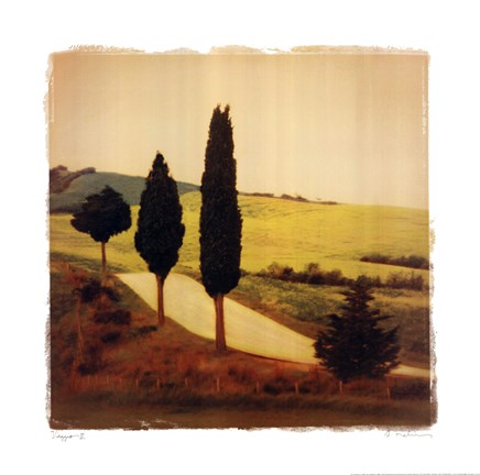 Framed Viaggio II Print