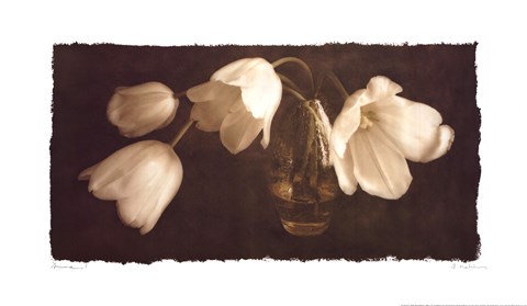 Framed Anima I Print