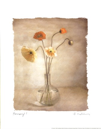 Framed Harmony I Print