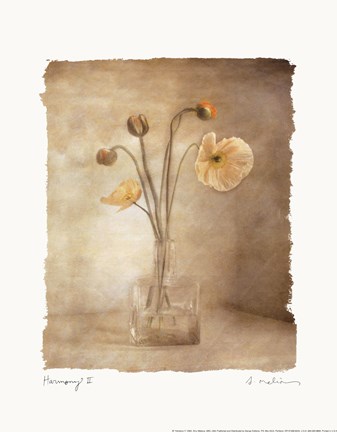 Framed Harmony II Print