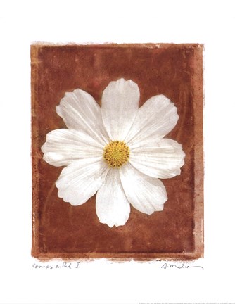 Framed Cosmos on Red I Print