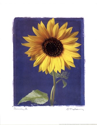 Framed Summer II Print