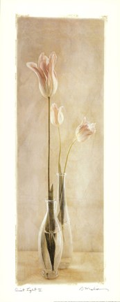 Framed Quiet Light II Print