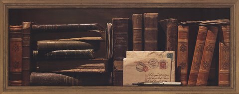 Framed Librairie I Print