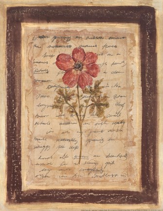 Framed Garden Notes I Print