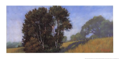 Framed Sauvie's Island Print