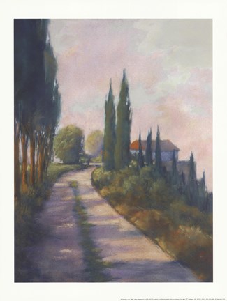 Framed Bella Vista Print