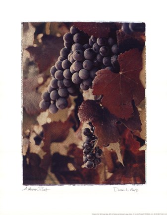 Framed Autumn Print Print