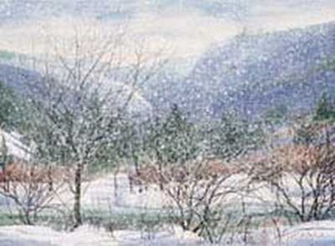 Framed Snow Flurry Print