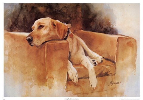Framed Dog Tired (Yellow Lab) Print