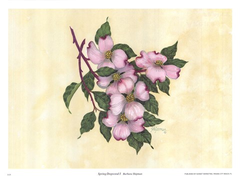 Framed Spring Dogwood I Print