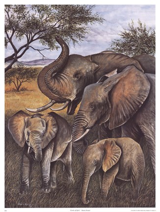 Framed Circle of Life I Print