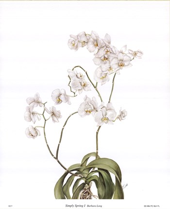 Framed Simply Spring I Print