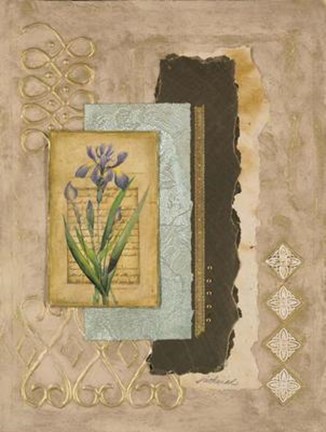 Framed Metallic Iris II Print