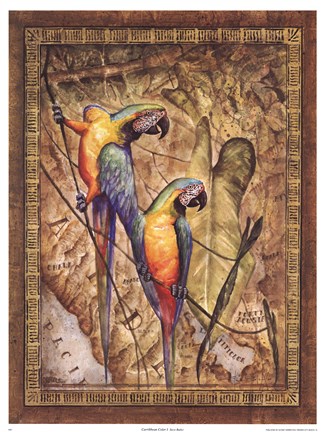 Framed Carribbean Color I Print