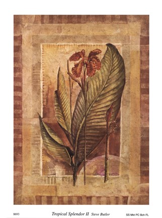 Framed Tropical Splendor II Print