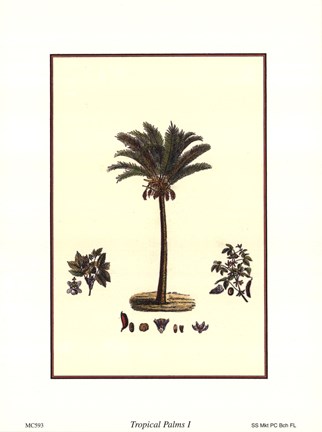 Framed Tropical Palms I Print