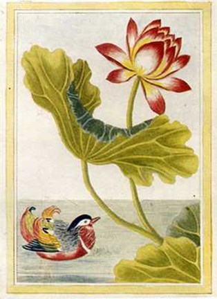 Framed Flowers-1 of 12 Print