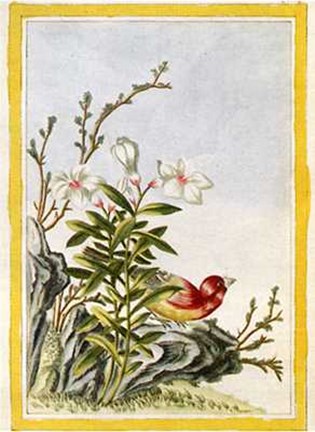 Framed Flowers-5 of 12 Print