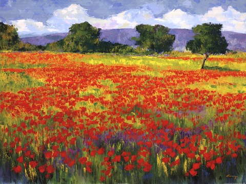 Framed Amapolas I Print