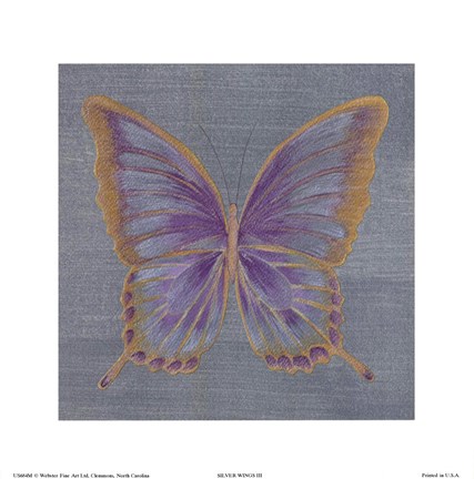 Framed S. Wings Print