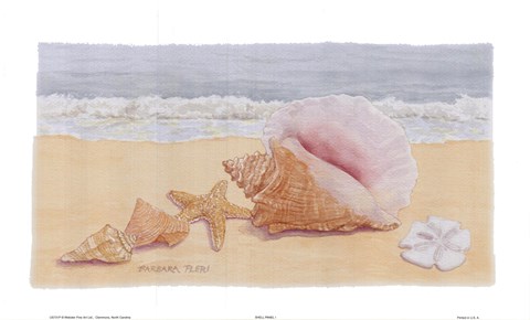 Framed Seaside Shells Print