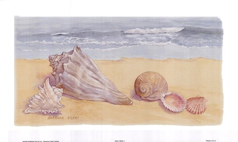 Framed Seaside Shells Print