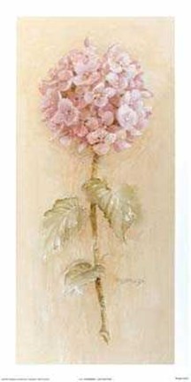 Framed Hydrangea Print