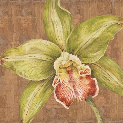 Framed Aloha Beauty II Print