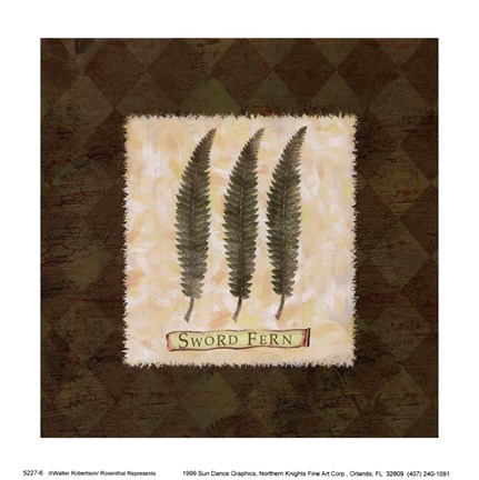 Framed Sword Fern Print