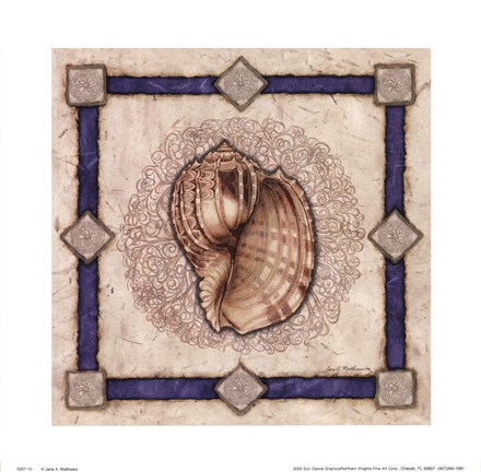 Framed Mollusk Shell II Print