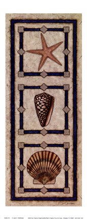Framed Starfish &amp; Shells Print