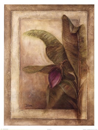 Framed Plantano en Flor II Print