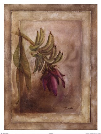 Framed Plantano en Flor I Print
