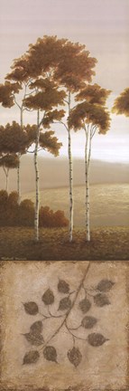 Framed November Light I Print