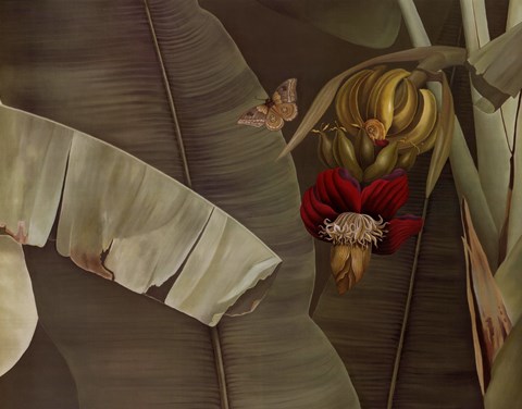 Framed Butterfly Dance Print