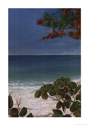 Framed Carribean Escape II Print
