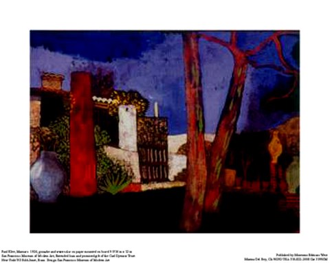 Framed Mazzaro Print