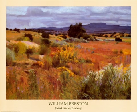 Framed After the Rain Print