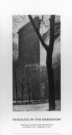 Framed Flatiron Building Print