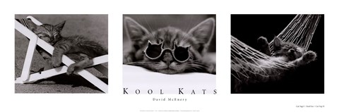 Framed Kool Kats Print