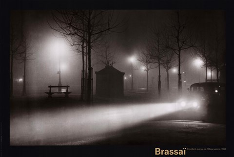 Framed Brouillard Avenue de l'Observatoire Print